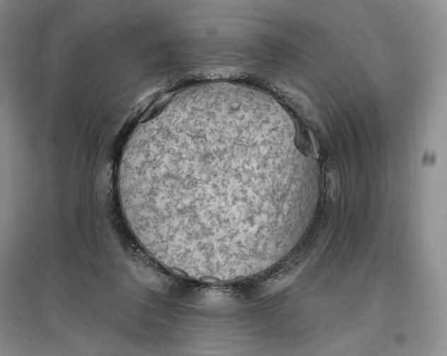 X0000096970308200802291128