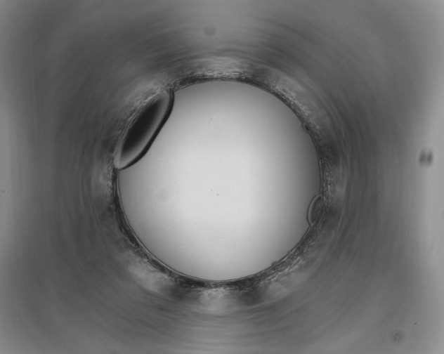 X0000096970309200802291128