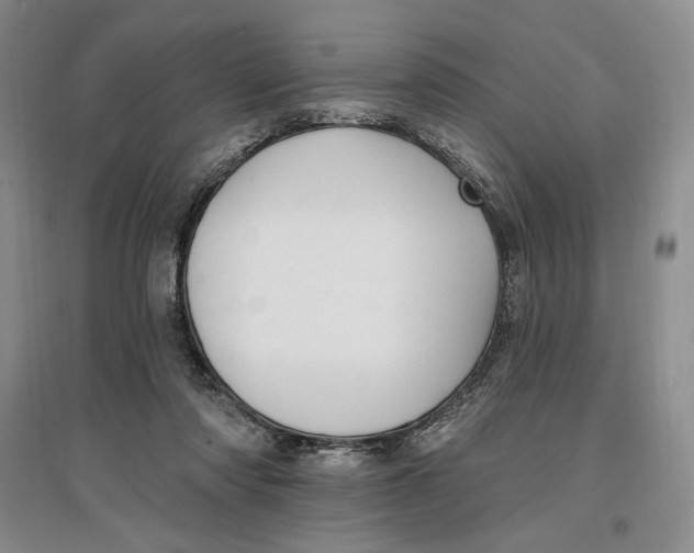 X0000096970310200802291128