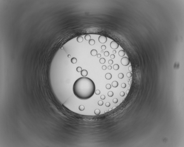 X0000096970311200802291128