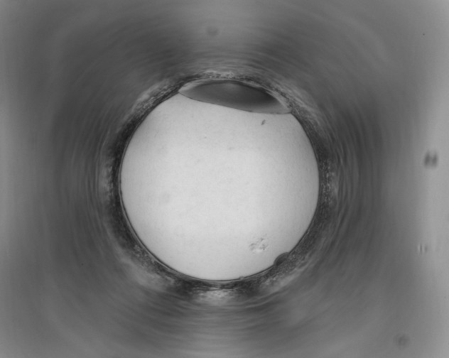 X0000096970312200802291128