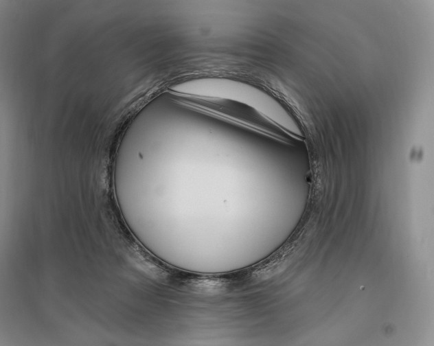 X0000096970313200802291128