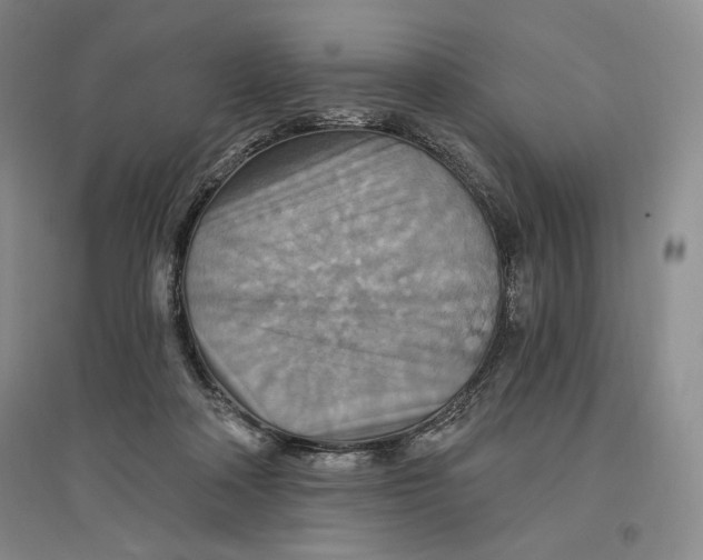 X0000096970314200802291128