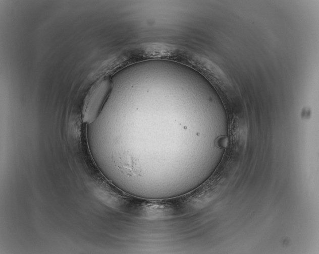 X0000096970315200802291128