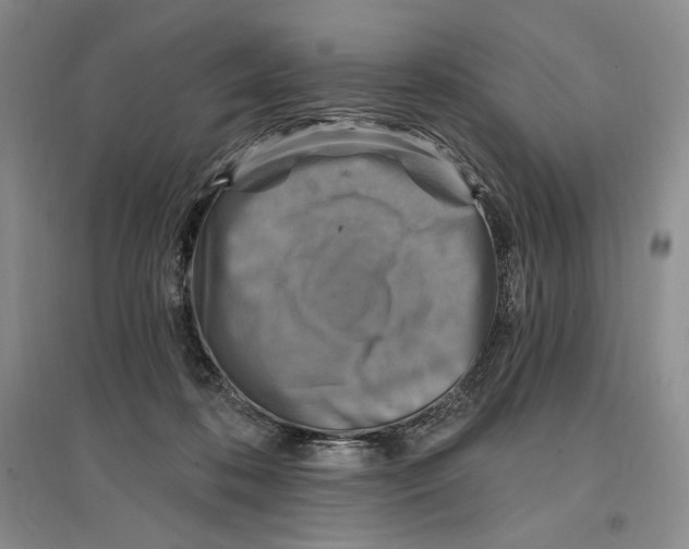 X0000096970316200802291128