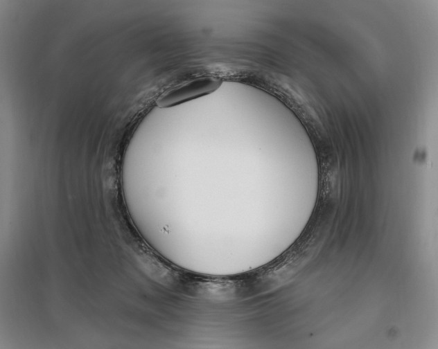 X0000096970317200802291127