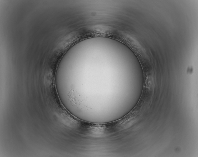 X0000096970318200802291127