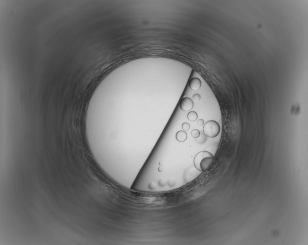 X0000096970319200802291127