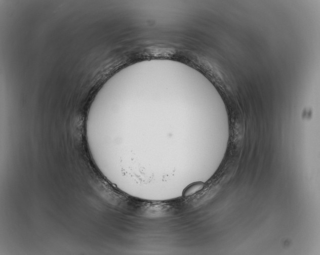 X0000096970321200802291127