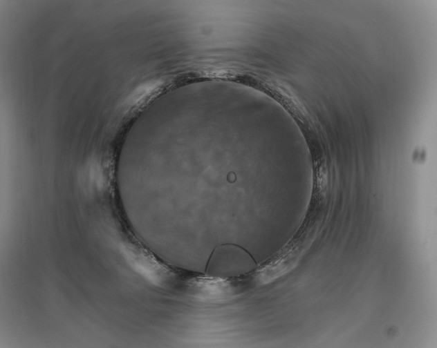 X0000096970322200802291127