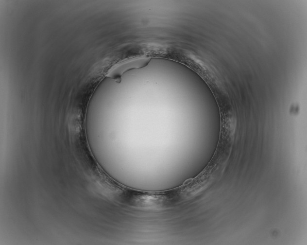 X0000096970323200802291127