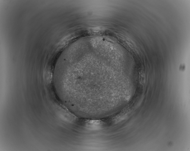 X0000096970324200802291127