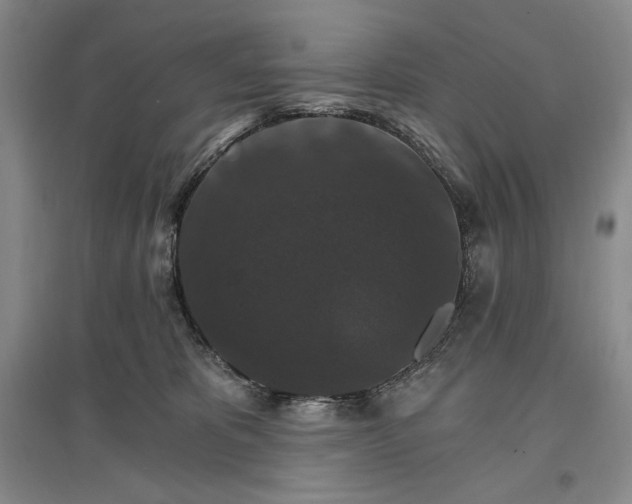 X0000096970325200802291127