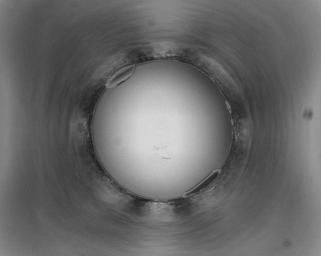 X0000096970327200802291127