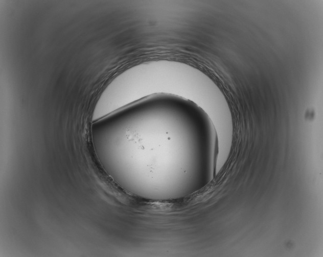 X0000096970328200802291127