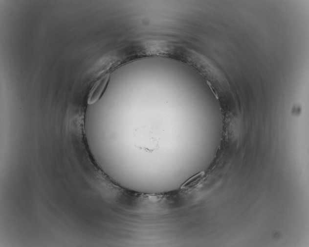 X0000096970329200802291127