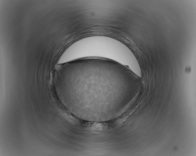 X0000096970330200802291127