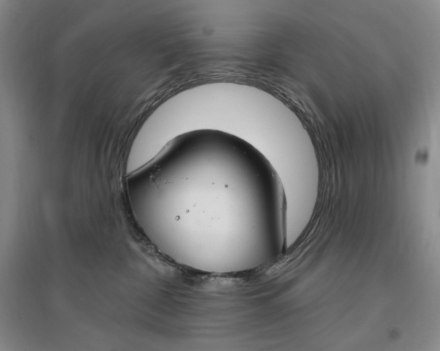 X0000096970332200802291127