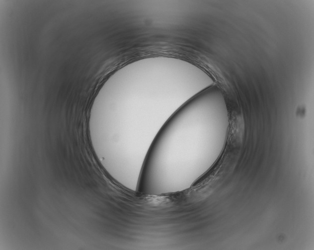 X0000096970333200802291127