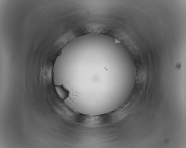 X0000096970334200802291127