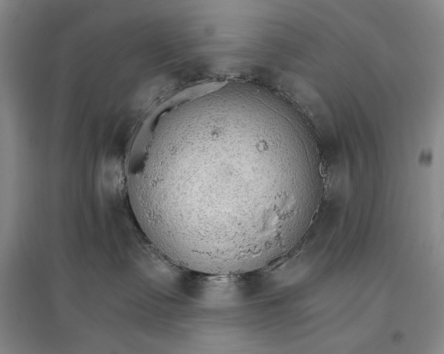 X0000096970335200802291127