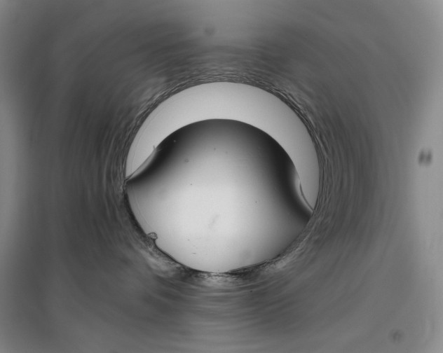 X0000096970336200802291127