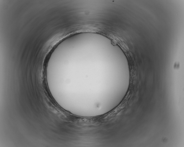 X0000096970338200802291126