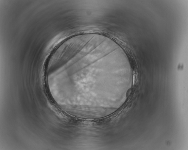 X0000096970339200802291126