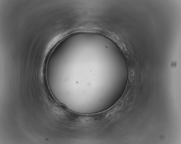 X0000096970340200802291126