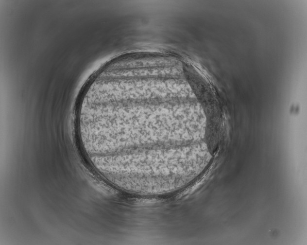 X0000096970342200802291126