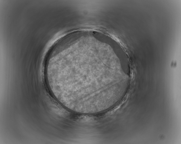 X0000096970343200802291126