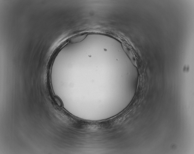 X0000096970344200802291126