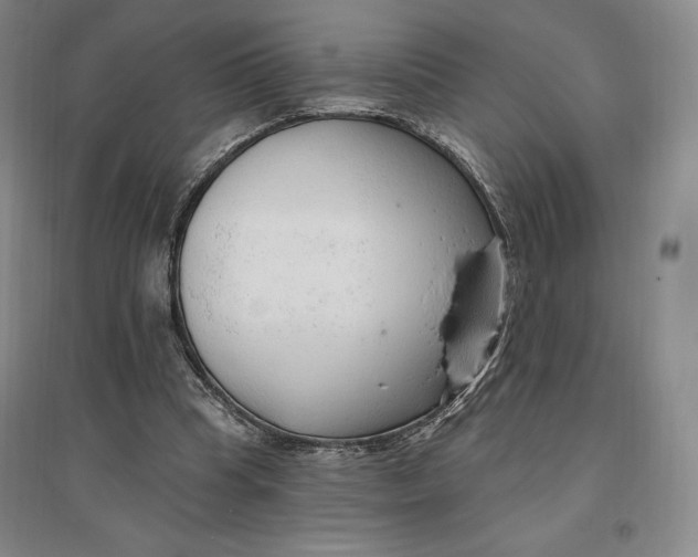 X0000096970345200802291126