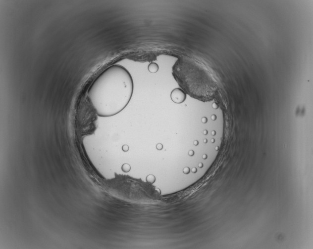 X0000096970346200802291126