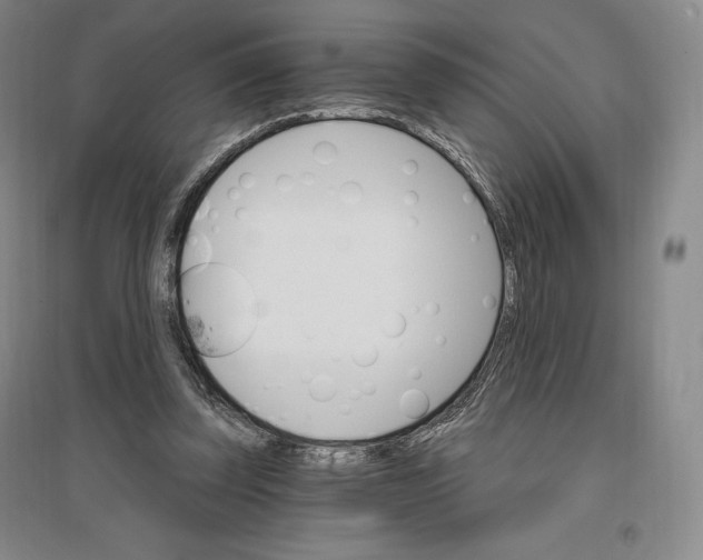 X0000096970347200802291126