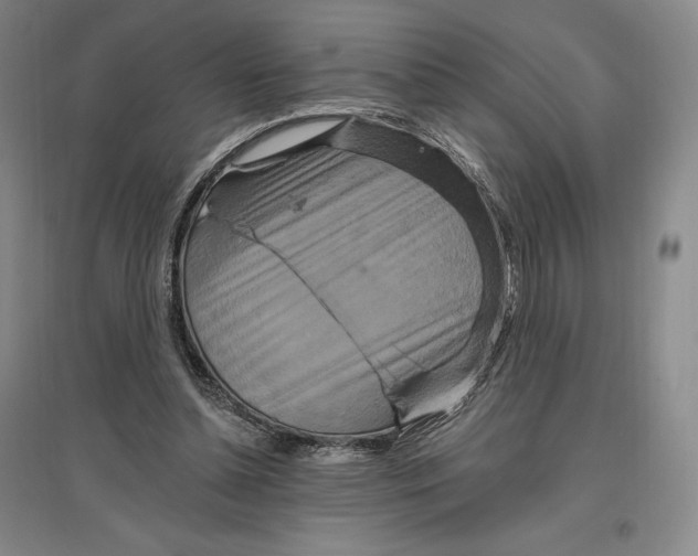 X0000096970348200802291126