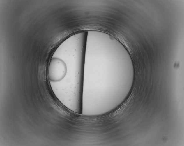 X0000096970349200802291127