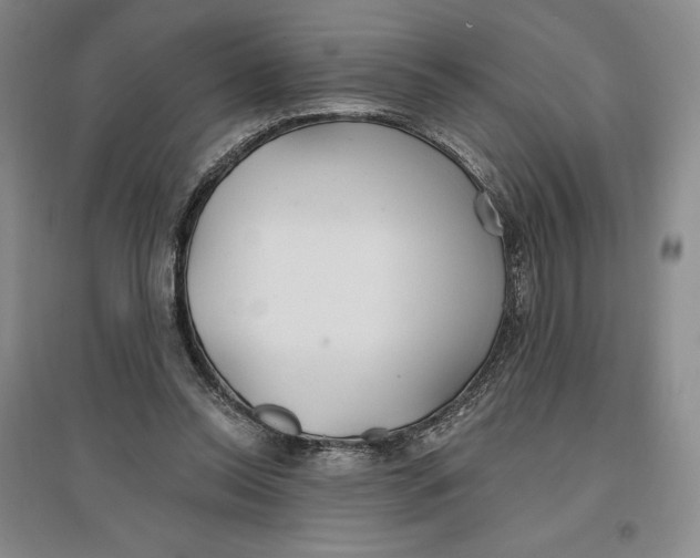 X0000096970350200802291127