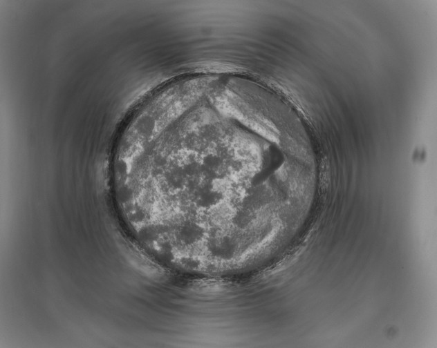 X0000096970351200802291127