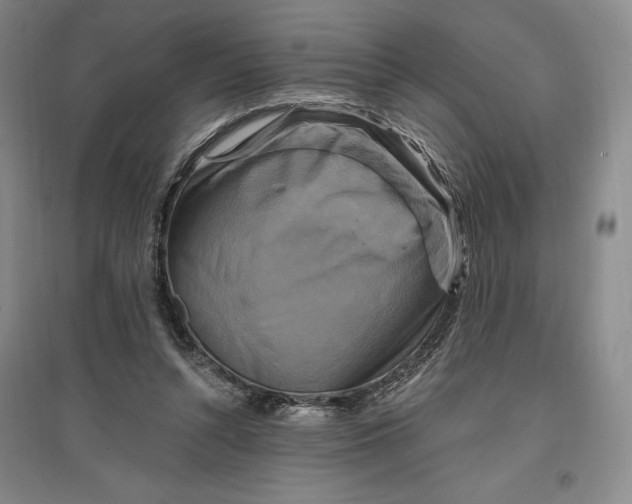 X0000096970352200802291127