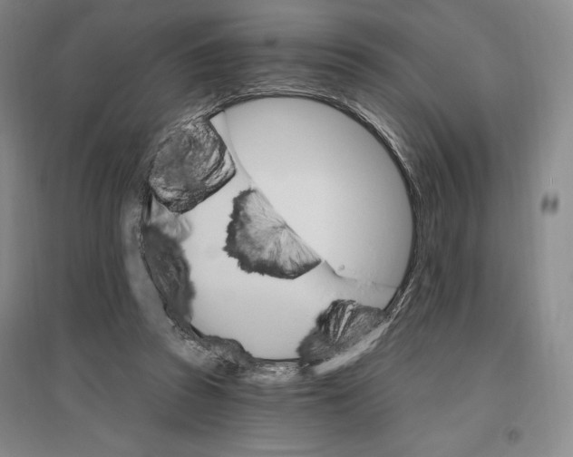 X0000096970353200802291127