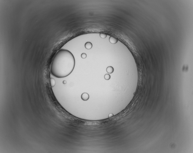 X0000096970354200802291127