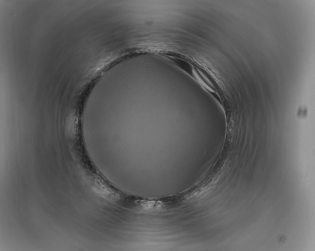 X0000096970355200802291127