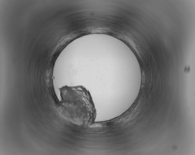 X0000096970357200802291127