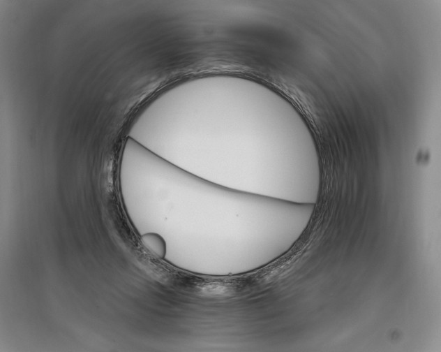 X0000096970358200802291127