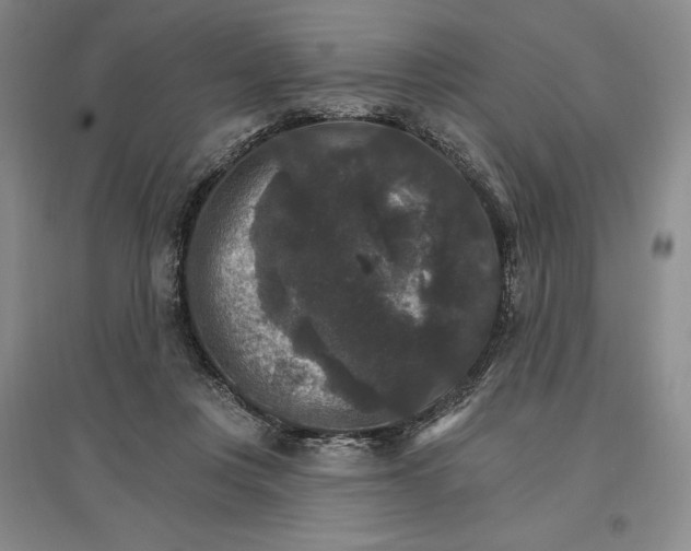 X0000096970359200802291127