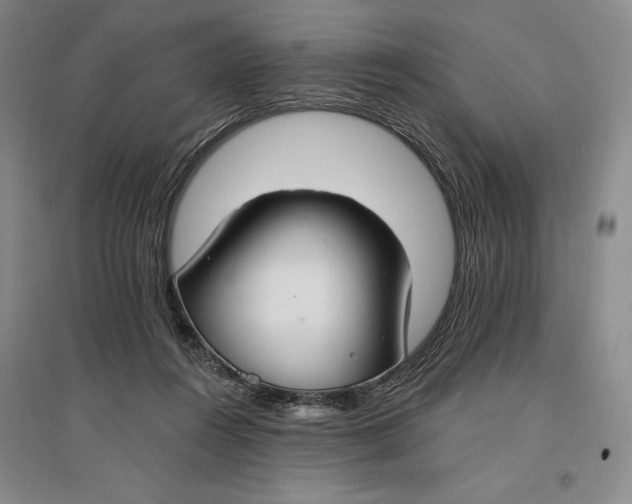 X0000096970360200802291127