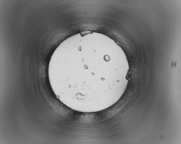 X0000096970362200802291127