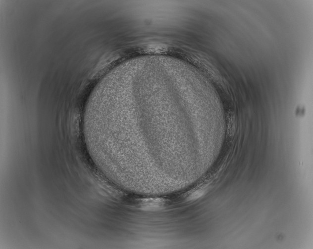 X0000096970363200802291127