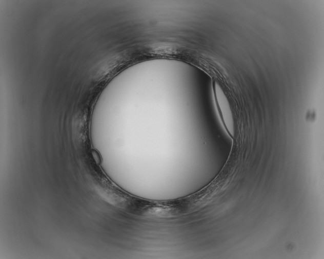 X0000096970364200802291127